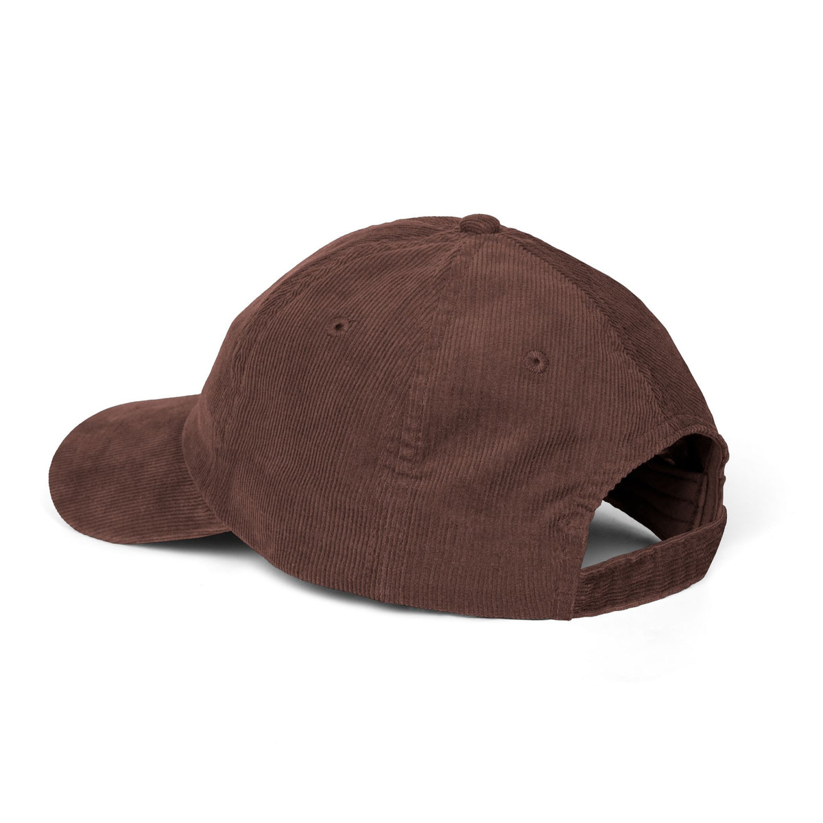 Personalized Embroidered Palomino Plenty Good Ponies Corduroy Hat